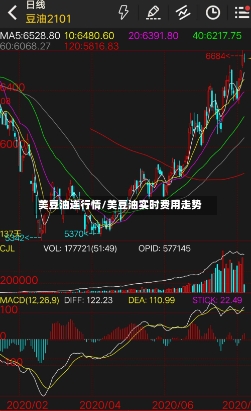 美豆油连行情/美豆油实时费用走势-第3张图片