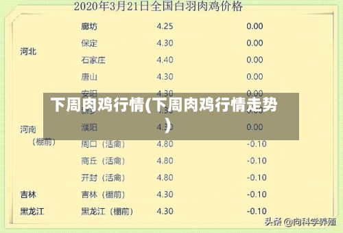 下周肉鸡行情(下周肉鸡行情走势)-第1张图片