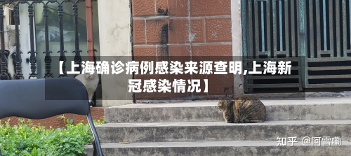 【上海确诊病例感染来源查明,上海新冠感染情况】-第1张图片