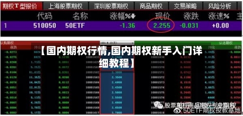 【国内期权行情,国内期权新手入门详细教程】