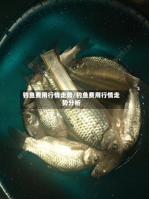 钓鱼费用行情走势/钓鱼费用行情走势分析