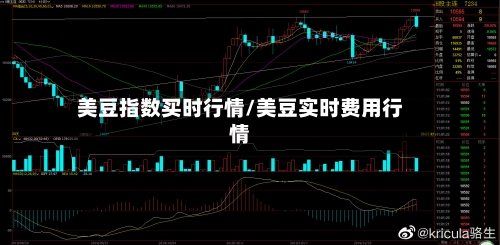 美豆指数买时行情/美豆实时费用行情-第1张图片