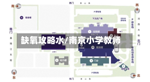缺氧攻略水/南京小学教师-第2张图片