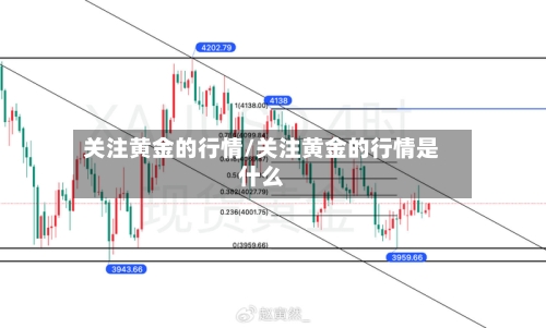 关注黄金的行情/关注黄金的行情是什么