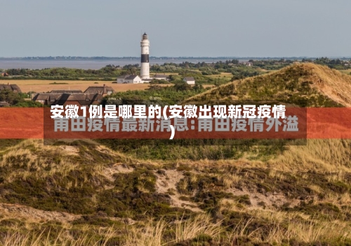 安徽1例是哪里的(安徽出现新冠疫情)-第1张图片