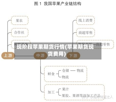 现阶段苹果期货行情(苹果期货现货费用)-第3张图片