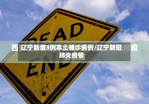 辽宁新增3例本土确诊病例/辽宁新冠肺炎疫情-第1张图片