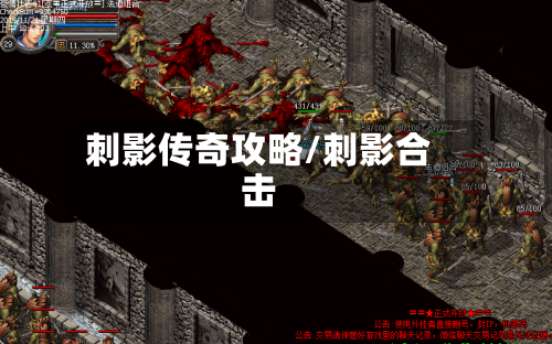 刺影传奇攻略/刺影合击