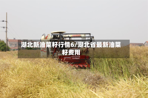 湖北新油菜籽行情6/湖北省最新油菜籽费用