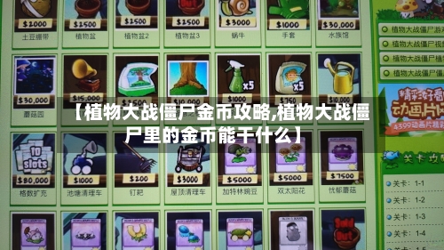 【植物大战僵尸金币攻略,植物大战僵尸里的金币能干什么】-第2张图片
