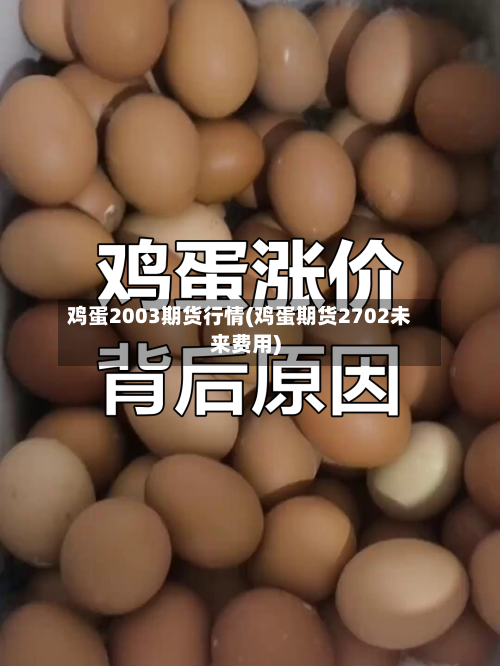 鸡蛋2003期货行情(鸡蛋期货2702未来费用)-第3张图片