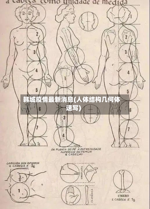韩城疫情最新消息(人体结构几何体速写)-第1张图片
