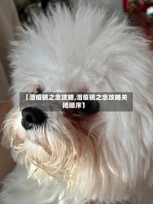 【泪痕碗之念攻略,泪痕碗之念攻略关闭顺序】-第1张图片