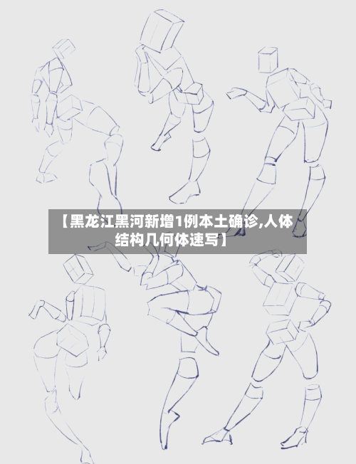 【黑龙江黑河新增1例本土确诊,人体结构几何体速写】