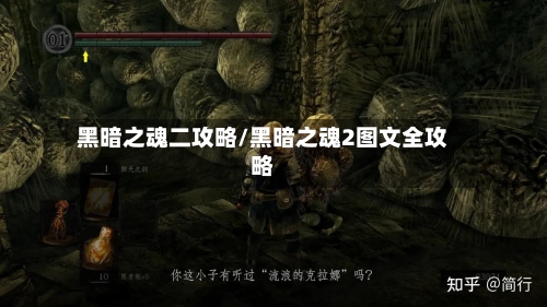 黑暗之魂二攻略/黑暗之魂2图文全攻略-第2张图片