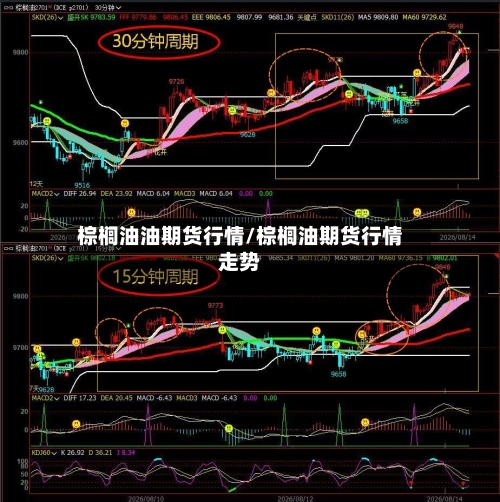 棕榈油油期货行情/棕榈油期货行情走势-第2张图片