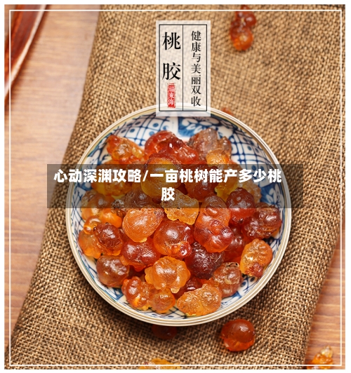 心动深渊攻略/一亩桃树能产多少桃胶