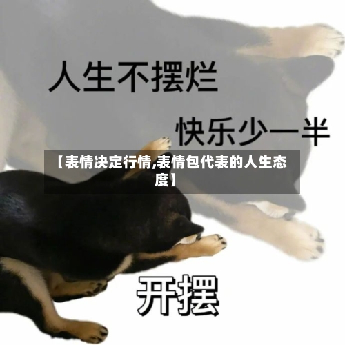 【表情决定行情,表情包代表的人生态度】-第2张图片