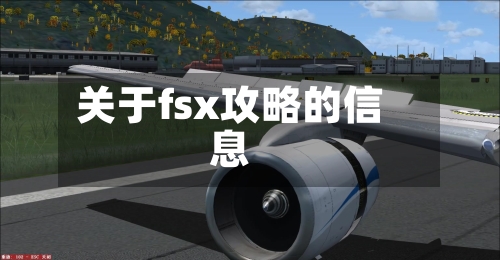 关于fsx攻略的信息-第2张图片