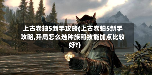 上古卷轴5新手攻略(上古卷轴5新手攻略,开局怎么选种族和技能加点比较好?)-第2张图片