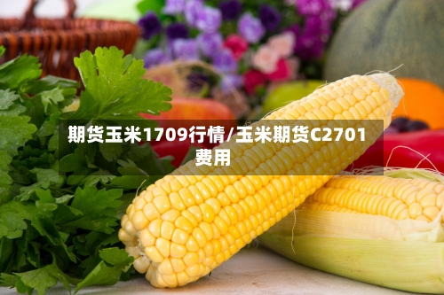 期货玉米1709行情/玉米期货C2701费用