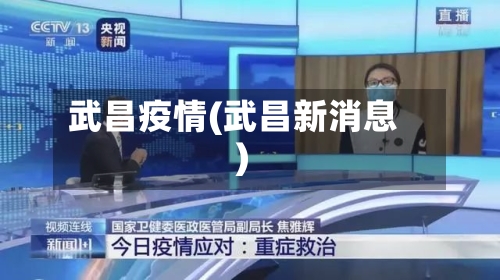 武昌疫情(武昌新消息)-第3张图片