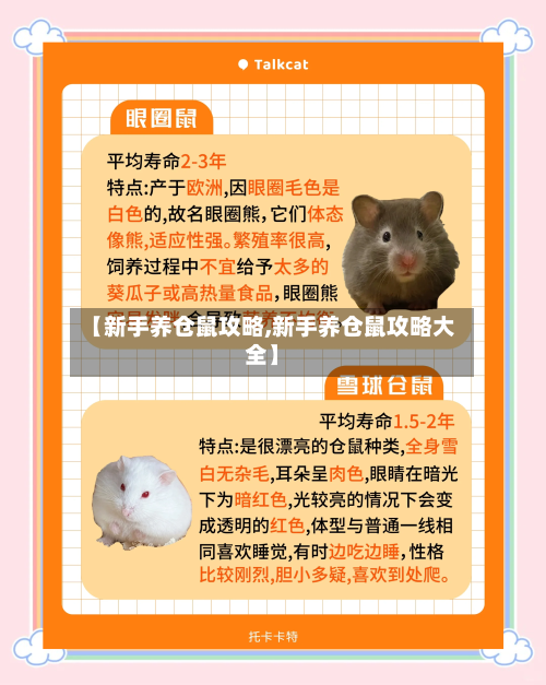 【新手养仓鼠攻略,新手养仓鼠攻略大全】