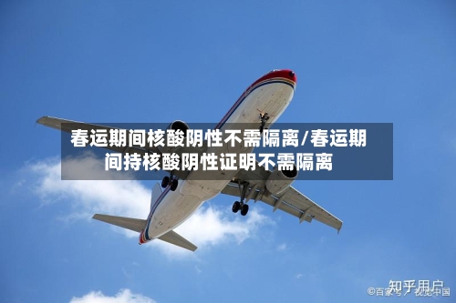 春运期间核酸阴性不需隔离/春运期间持核酸阴性证明不需隔离