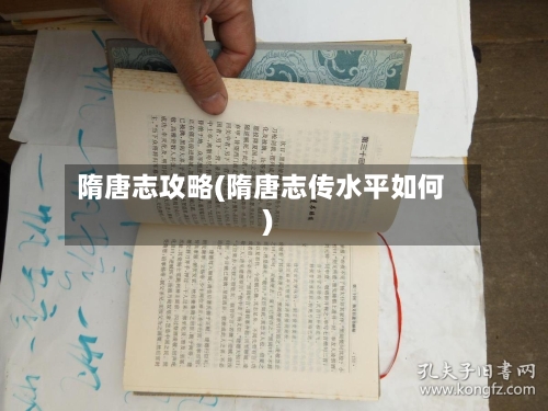 隋唐志攻略(隋唐志传水平如何)-第2张图片