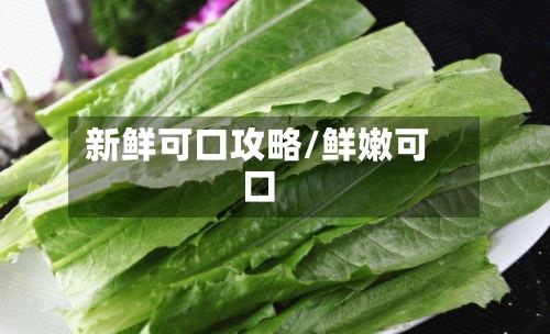 新鲜可口攻略/鲜嫩可口-第2张图片