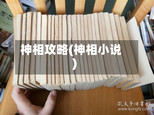 神相攻略(神相小说)