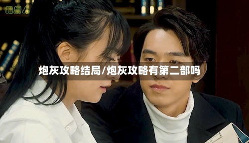 炮灰攻略结局/炮灰攻略有第二部吗-第2张图片