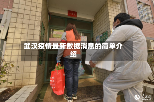 武汉疫情最新数据消息的简单介绍