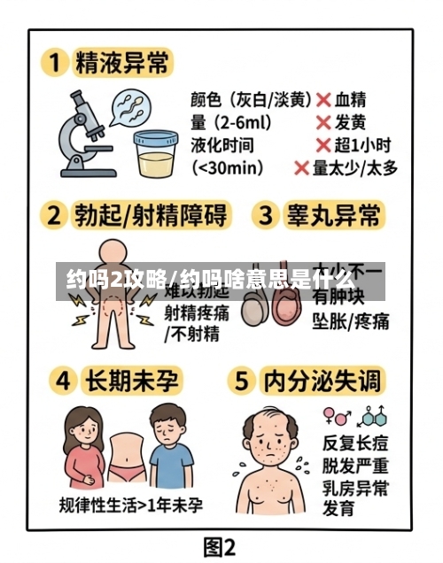 约吗2攻略/约吗啥意思是什么
