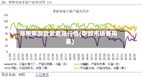 海南甲醇批发费用行情(甲醇市场费用表)