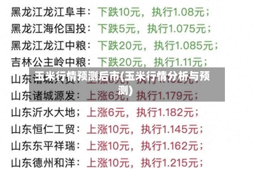 玉米行情预测后市(玉米行情分析与预测)-第2张图片