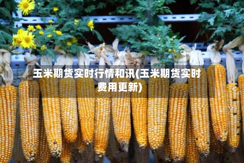 玉米期货实时行情和讯(玉米期货实时费用更新)