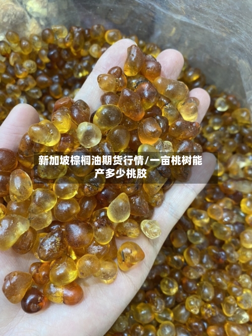 新加坡棕榈油期货行情/一亩桃树能产多少桃胶-第2张图片
