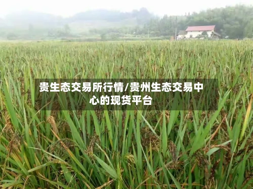 贵生态交易所行情/贵州生态交易中心的现货平台-第1张图片