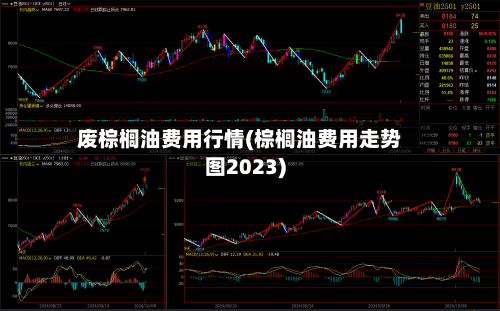 废棕榈油费用行情(棕榈油费用走势图2023)
