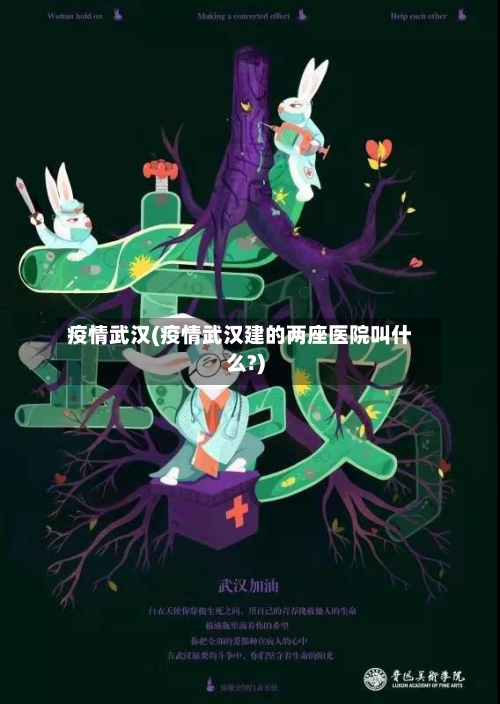 疫情武汉(疫情武汉建的两座医院叫什么?)