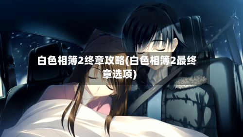 白色相簿2终章攻略(白色相簿2最终章选项)-第2张图片