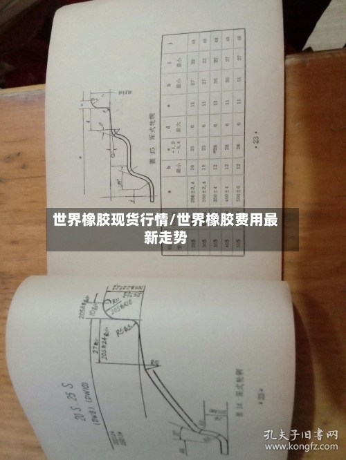 世界橡胶现货行情/世界橡胶费用最新走势-第2张图片