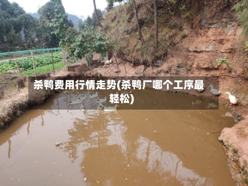杀鸭费用行情走势(杀鸭厂哪个工序最轻松)