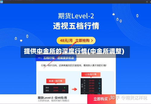 提供中金所的深度行情(中金所调整)