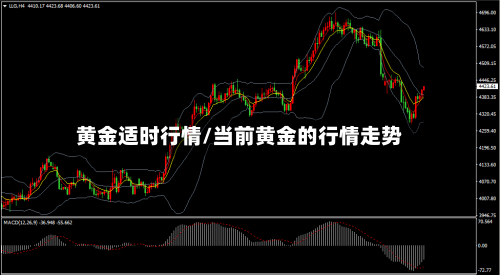 黄金适时行情/当前黄金的行情走势