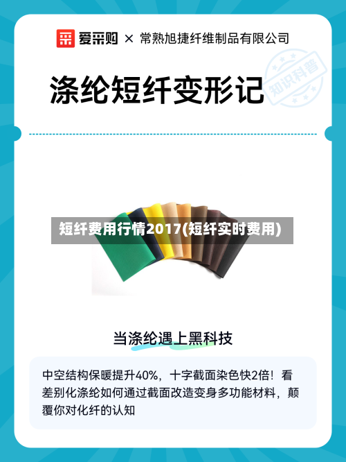 短纤费用行情2017(短纤实时费用)