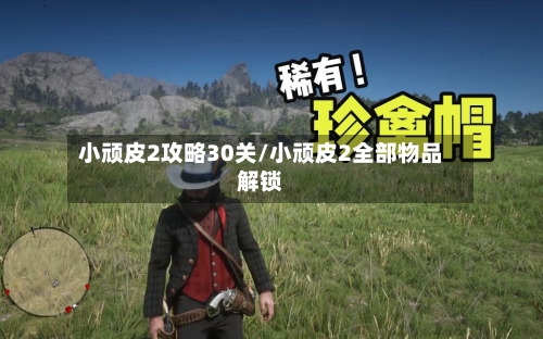 小顽皮2攻略30关/小顽皮2全部物品解锁