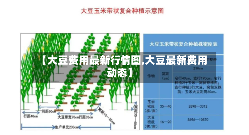【大豆费用最新行情图,大豆最新费用动态】-第1张图片
