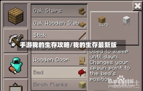 手游我的生存攻略/我的生存最新版